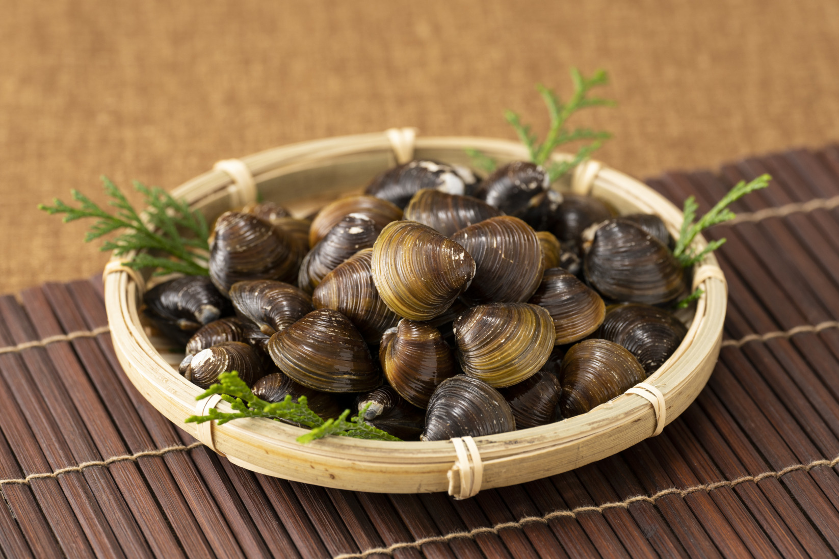 砂抜き活しじみ【期間限定5月～10月】