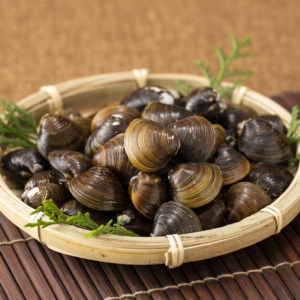 砂抜き活しじみ【期間限定5月～10月】